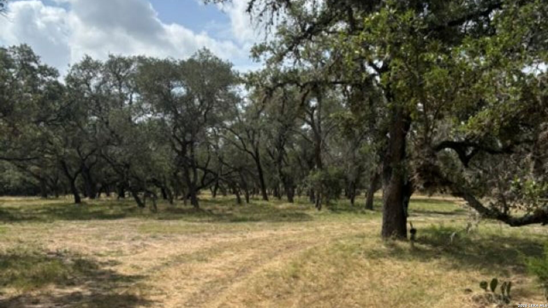 Lot 43 Pr 2535 Mico TX 78056