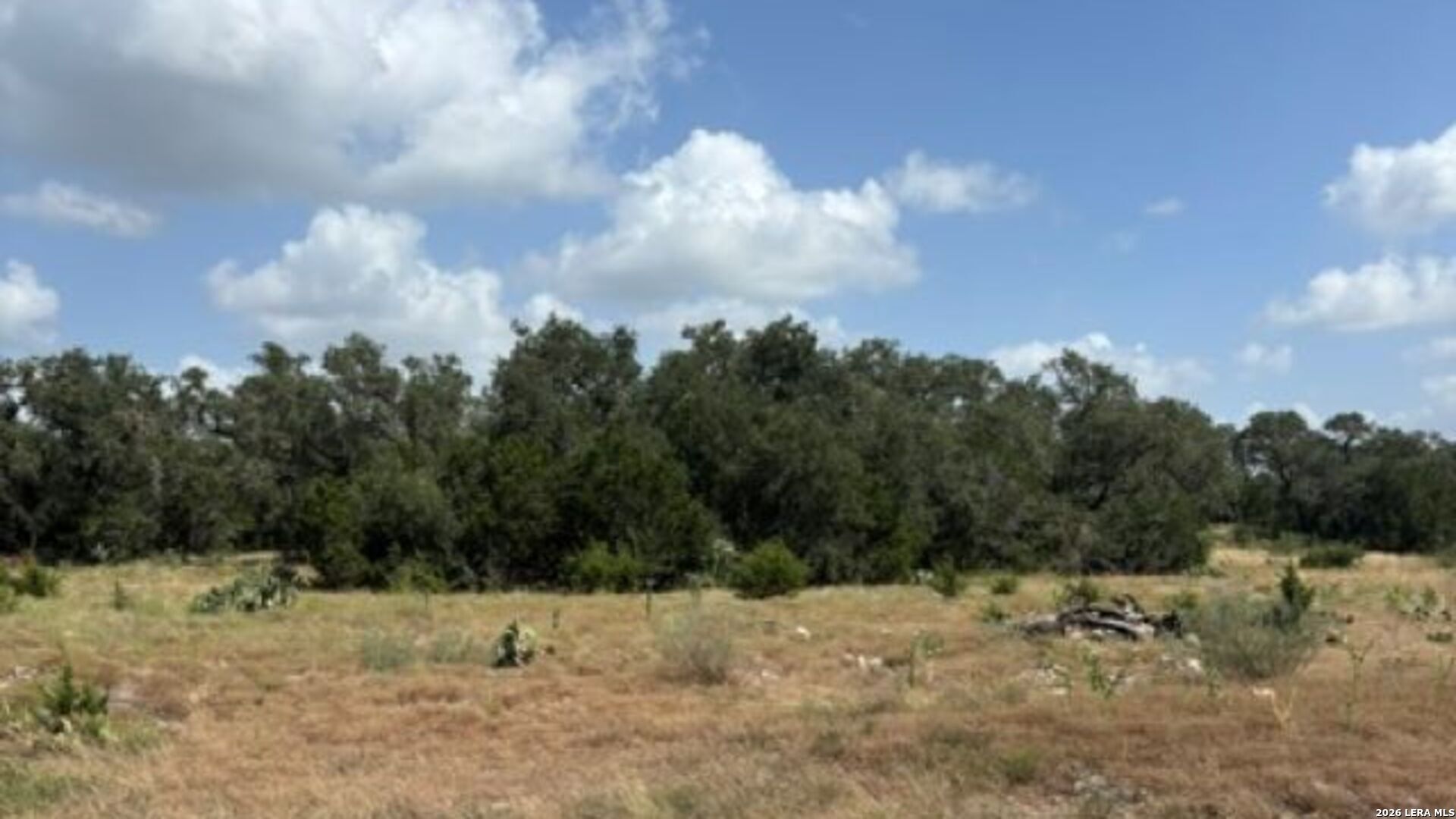 Lot 43 Pr 2535 Mico TX 78056