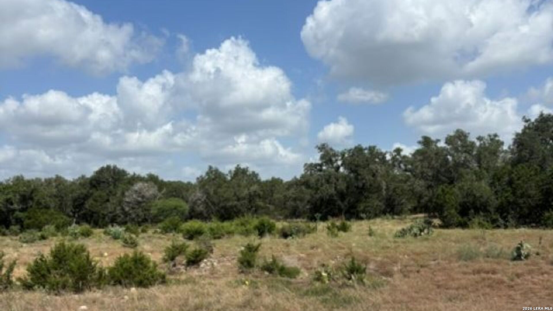 Lot 43 Pr 2535 Mico TX 78056