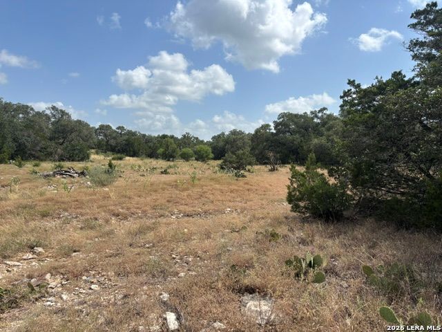 Lot 43 Pr 2535 Mico TX 78056