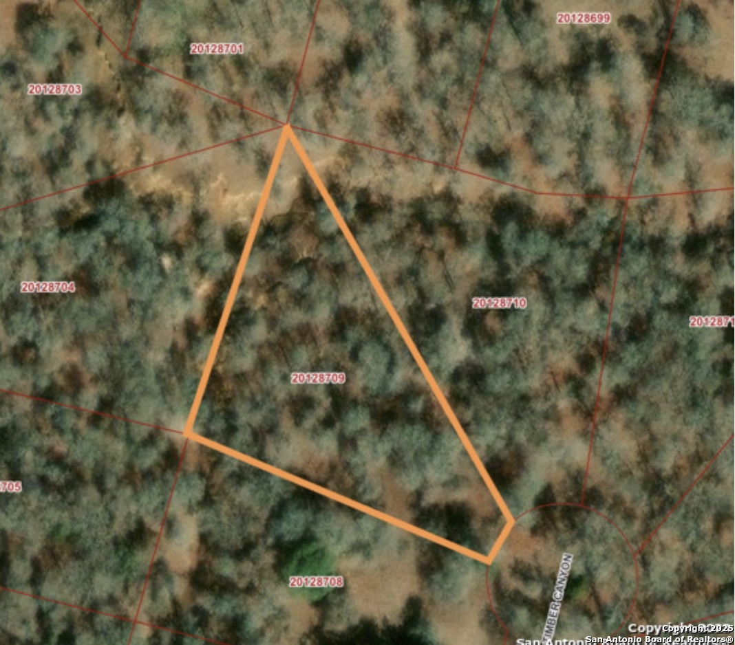 109 Timber Canyon La Vernia TX 78121