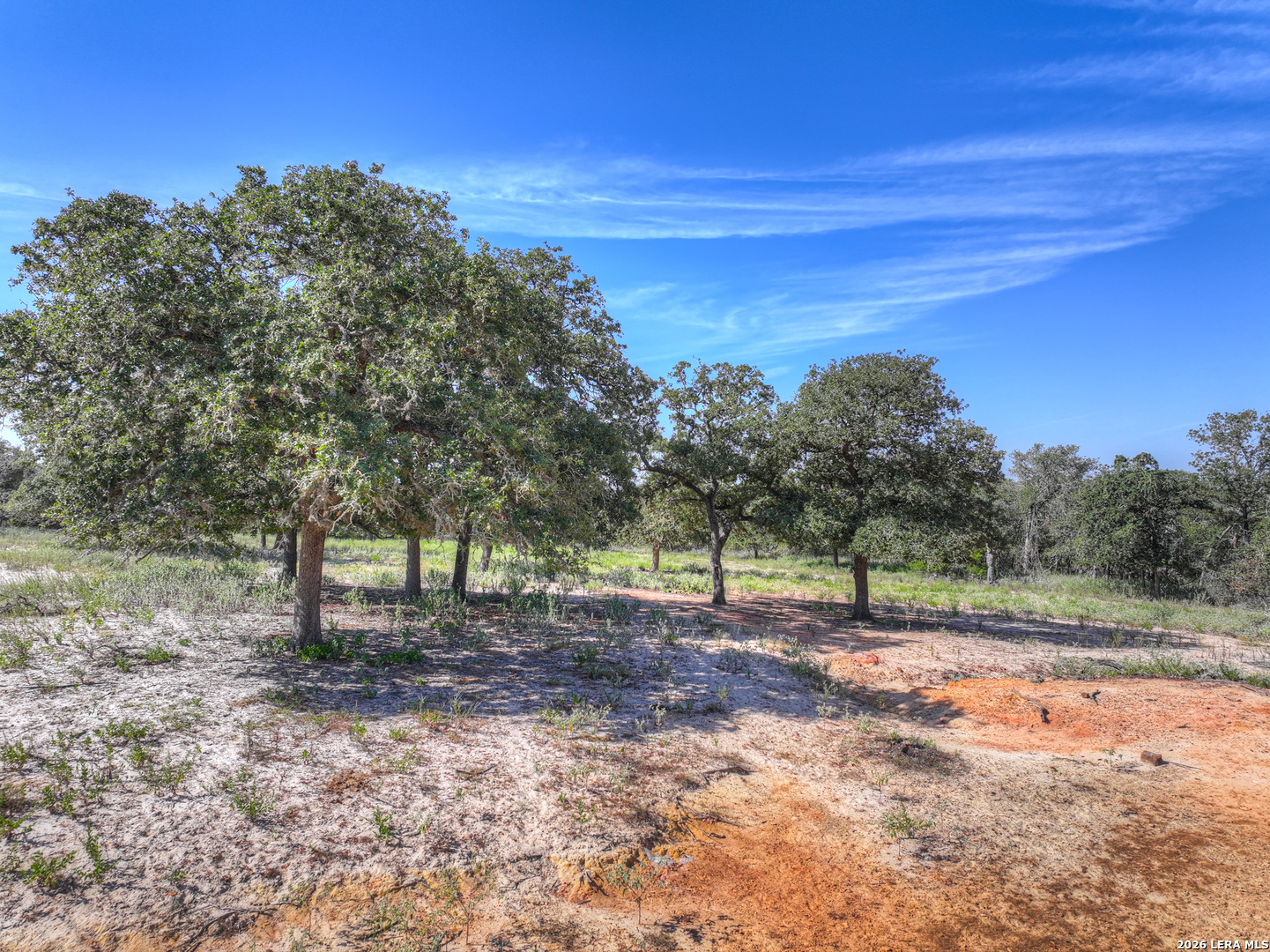 3912 Hickory Forrest Seguin TX 78155