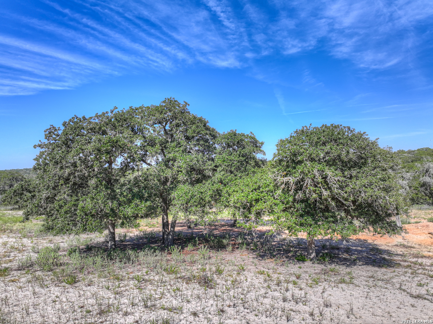 3912 Hickory Forrest Seguin TX 78155