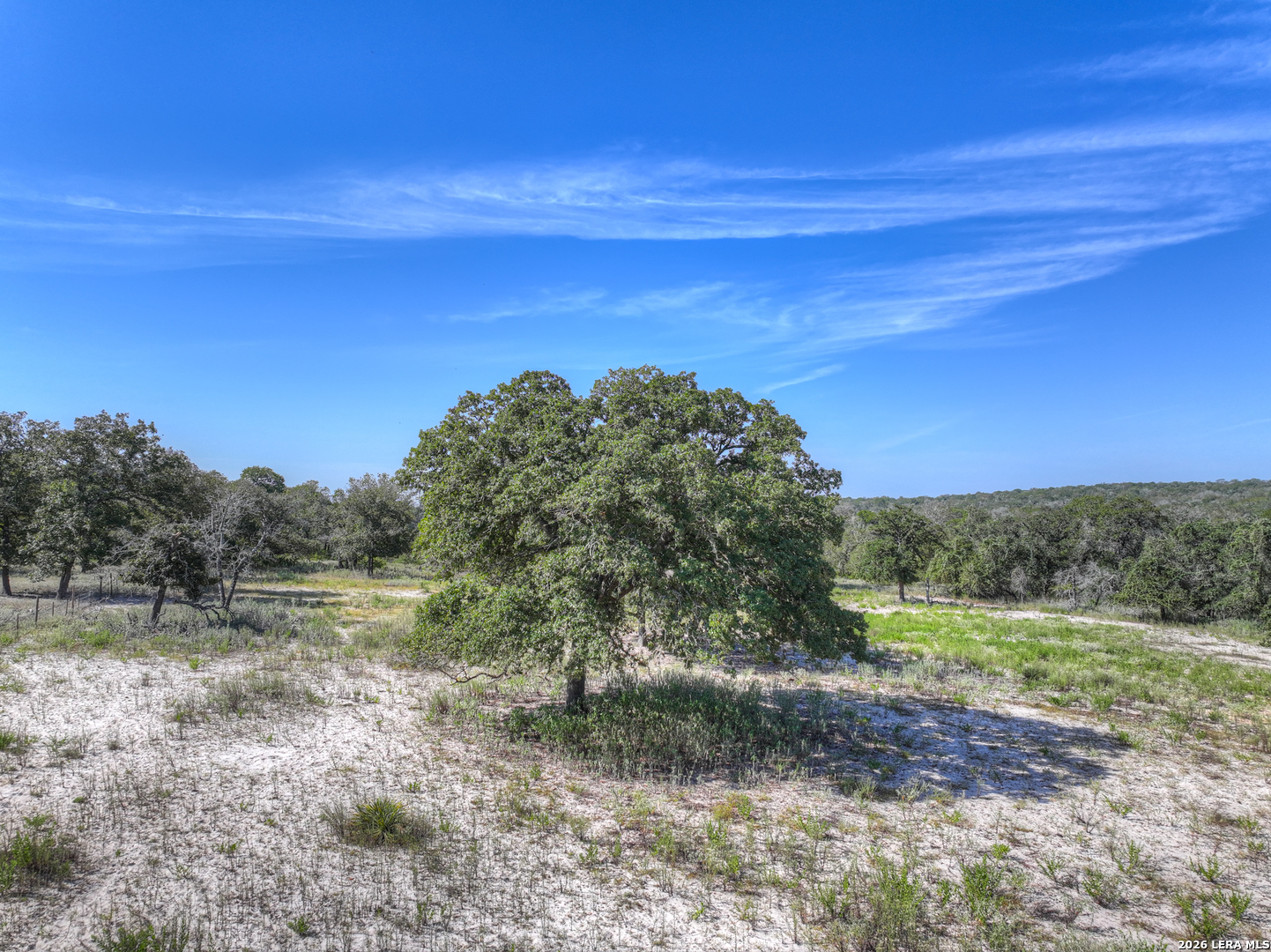 3912 Hickory Forrest Seguin TX 78155