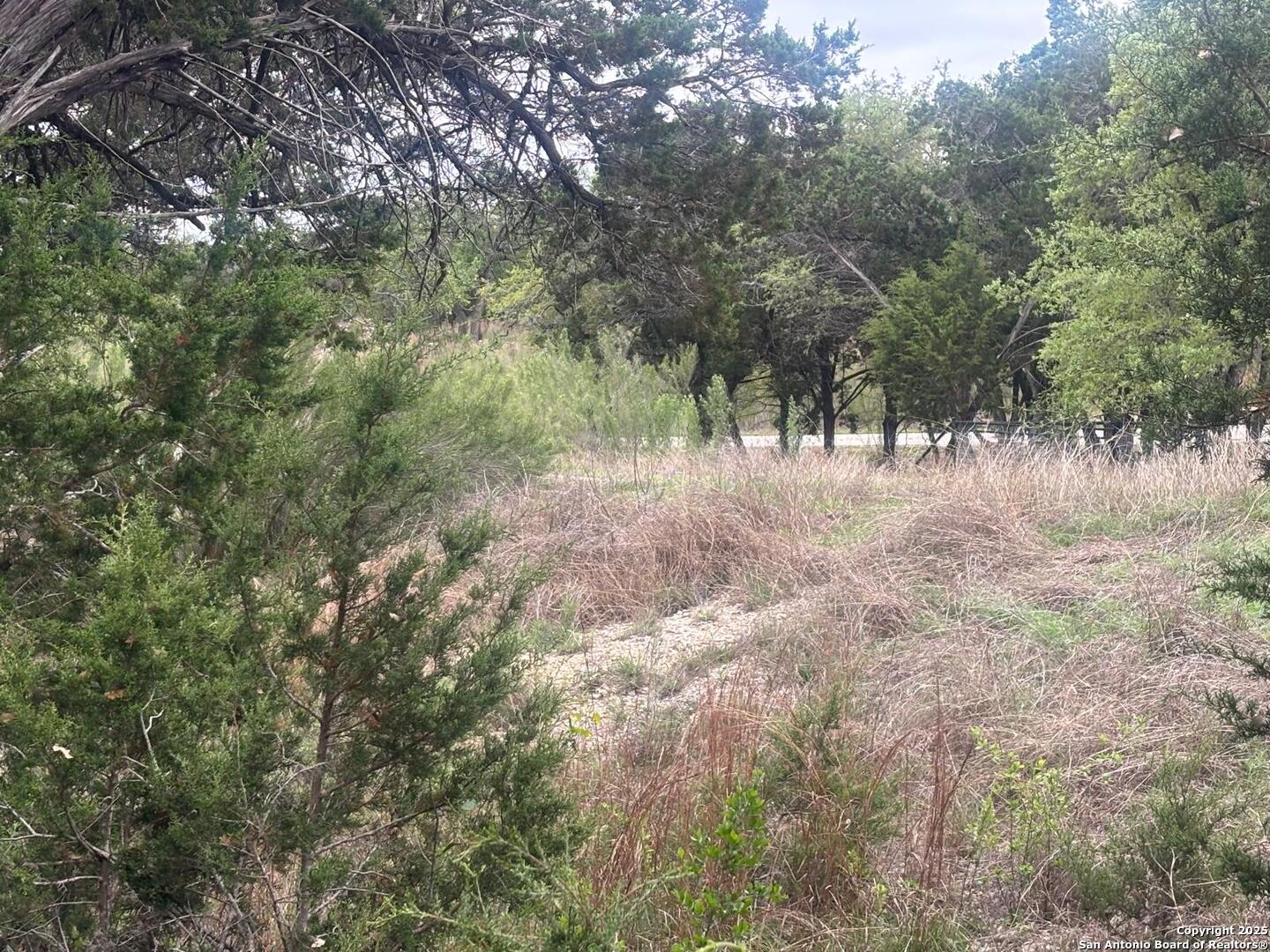 241 Restless Wind Spring Branch TX 78070