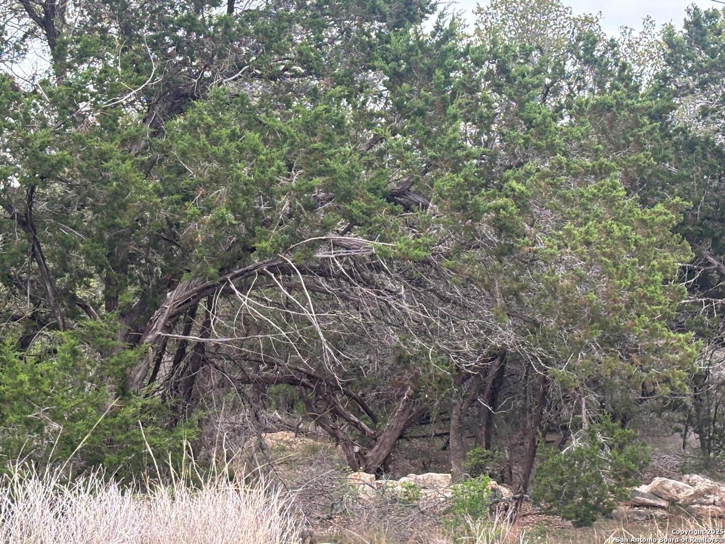 241 Restless Wind Spring Branch TX 78070