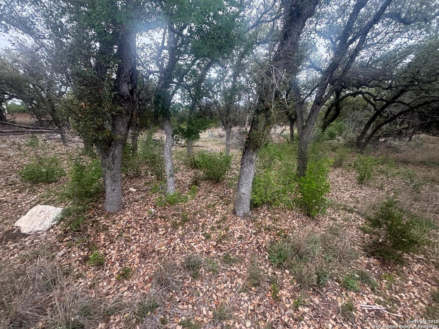 241 Restless Wind Spring Branch TX 78070