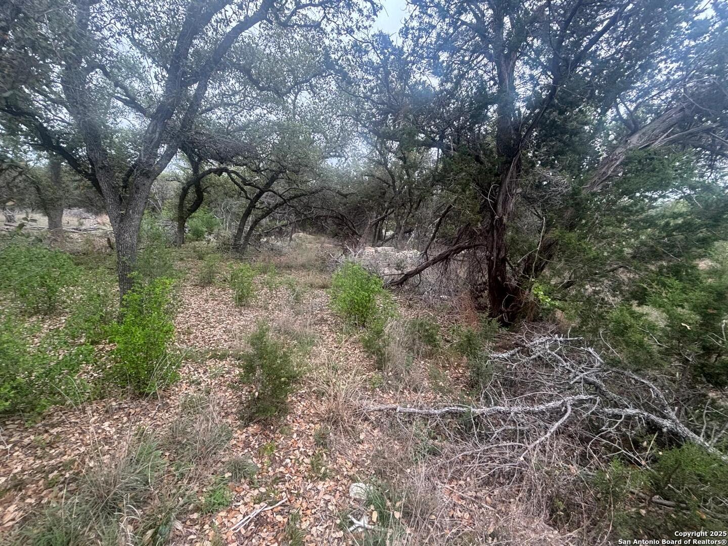241 Restless Wind Spring Branch TX 78070