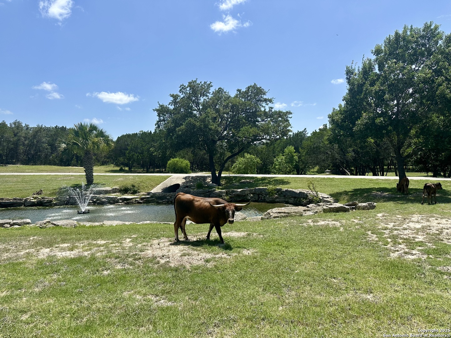 3 Thunder Verde Boerne TX 78006