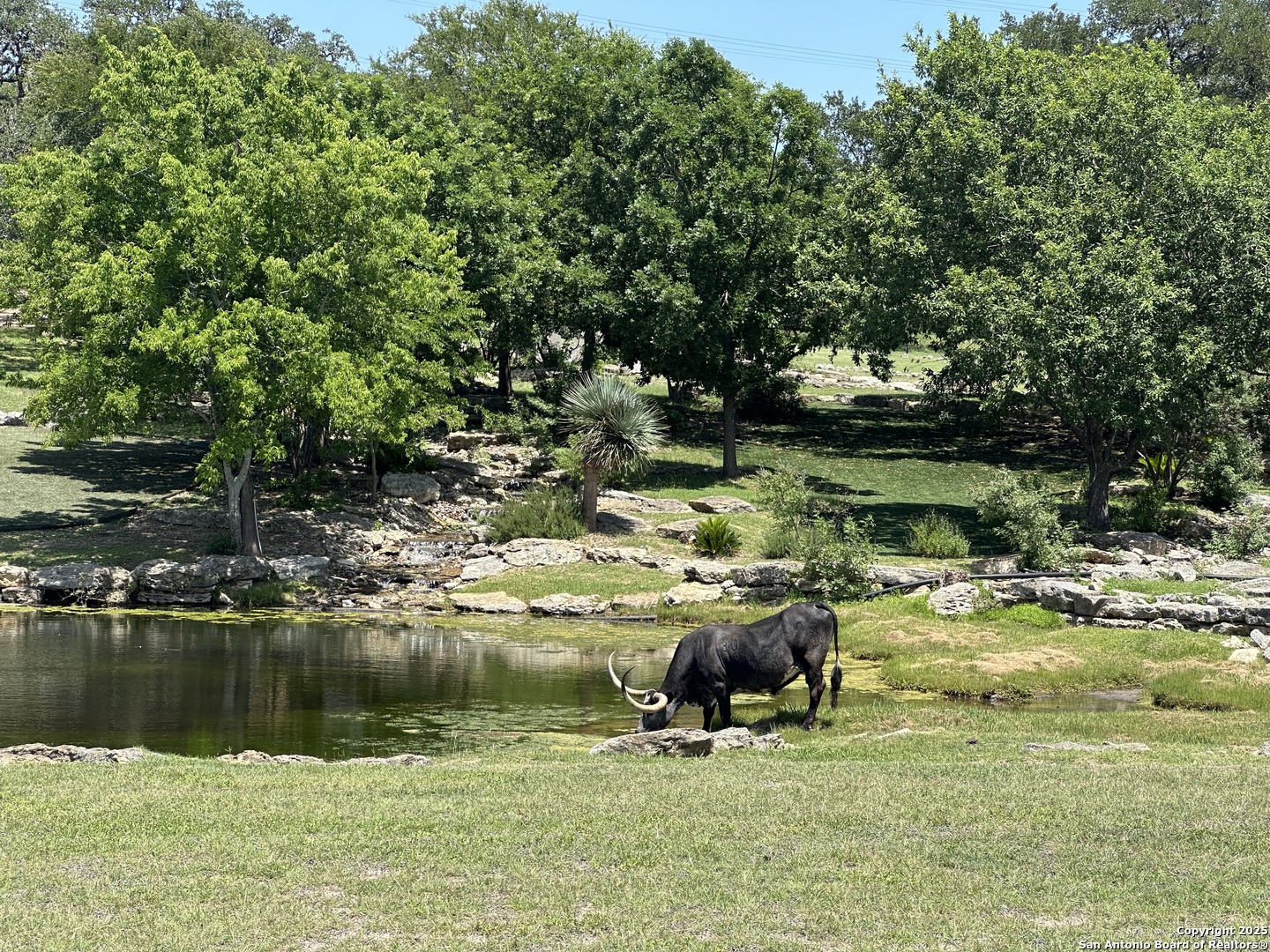 3 Thunder Verde Boerne TX 78006