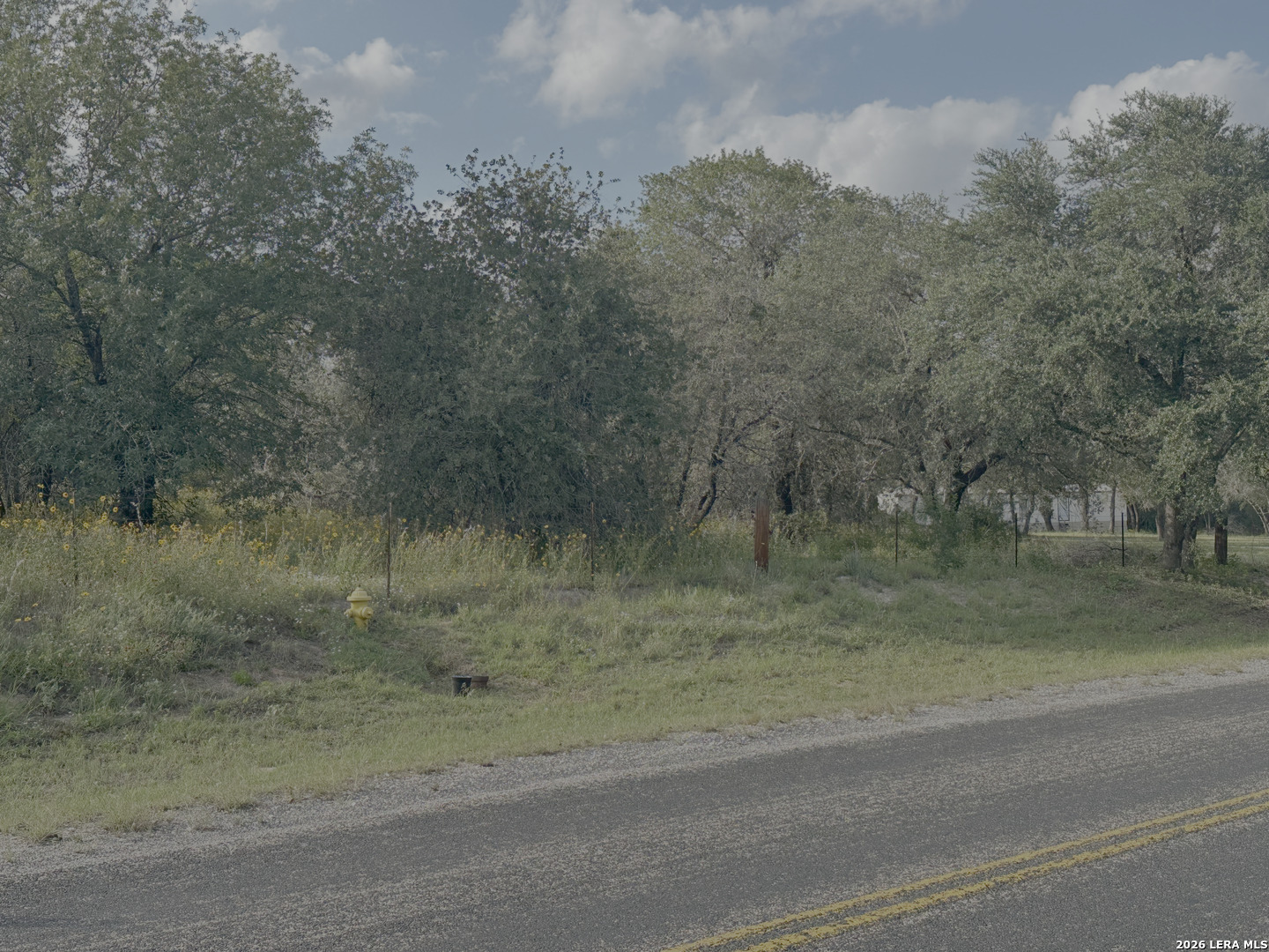 22815 Priest Elmendorf TX 78112