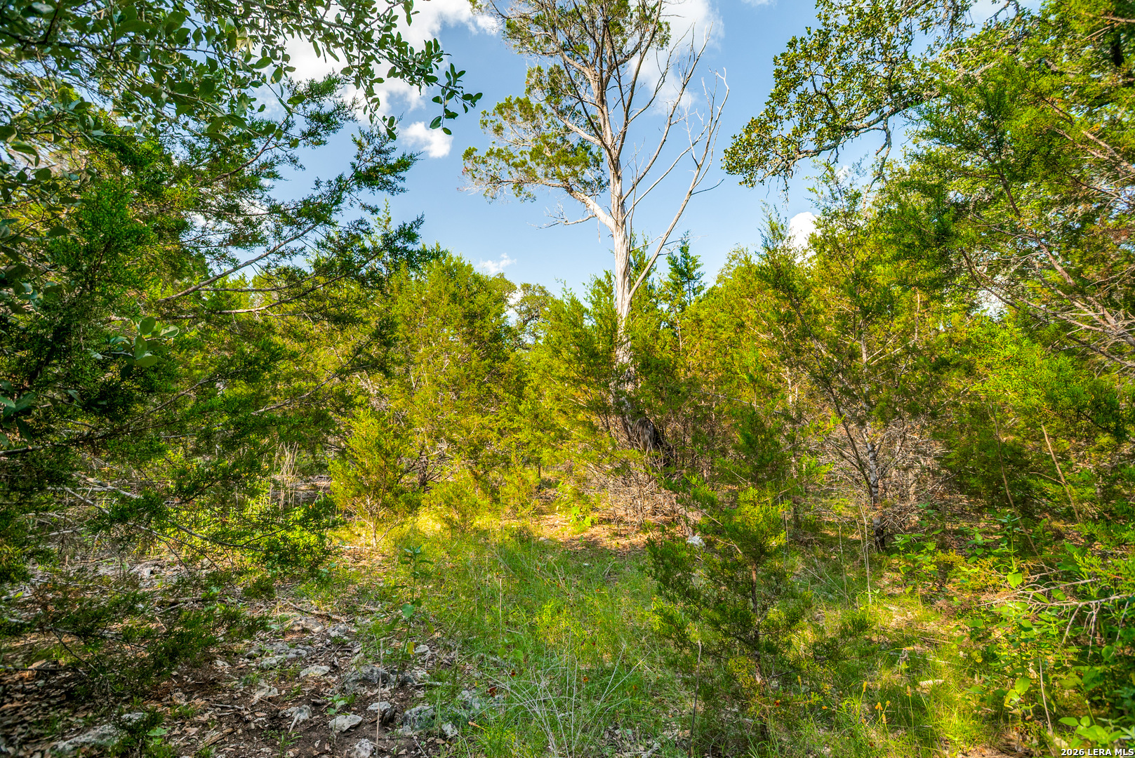 104C Riverwood Boerne TX 78006