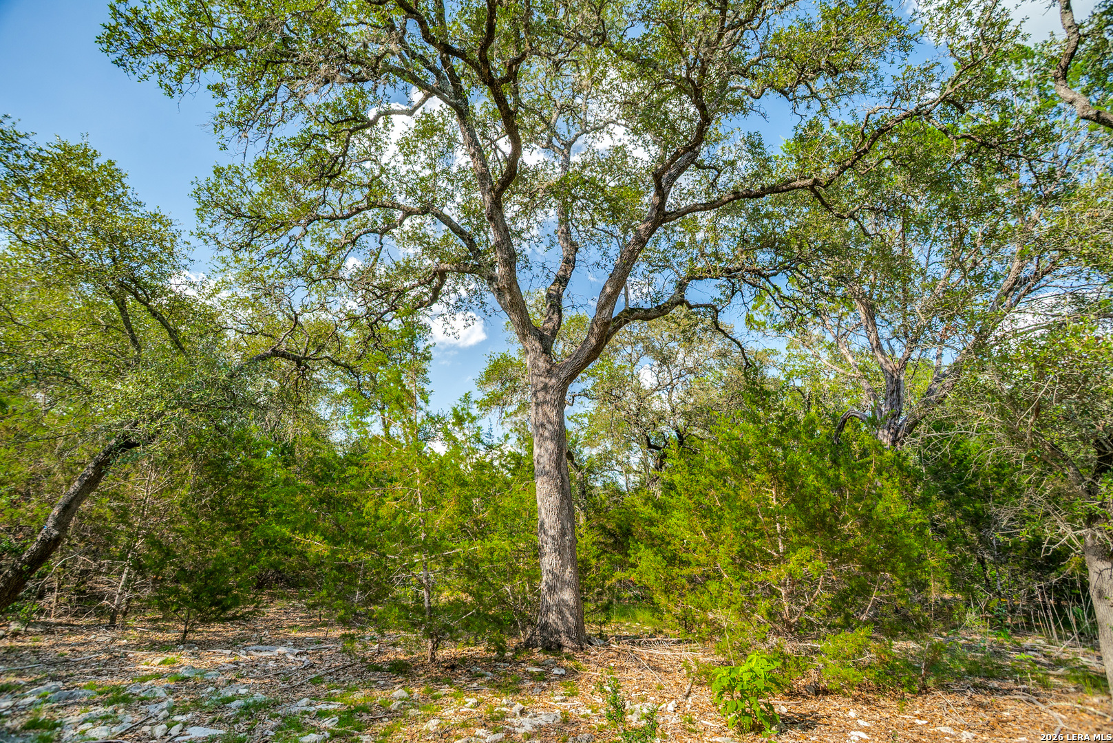104C Riverwood Boerne TX 78006