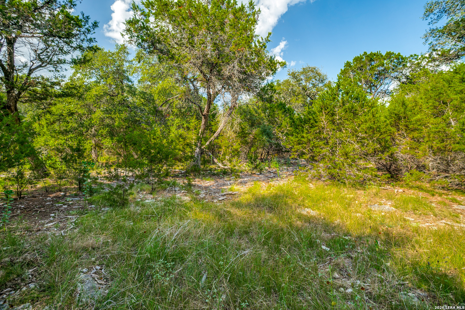 104C Riverwood Boerne TX 78006