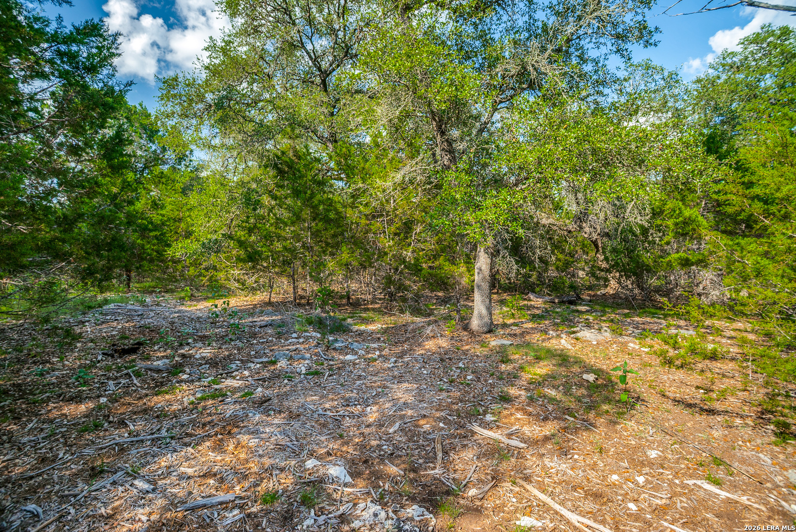 104C Riverwood Boerne TX 78006