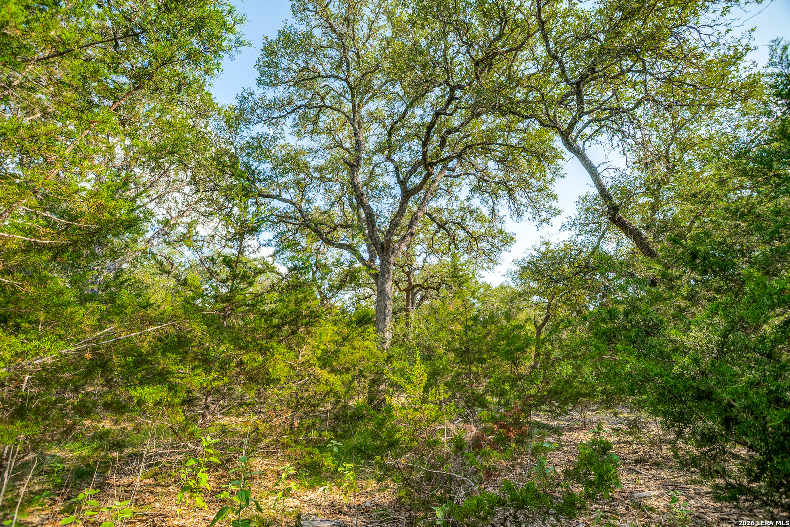 104C Riverwood Boerne TX 78006