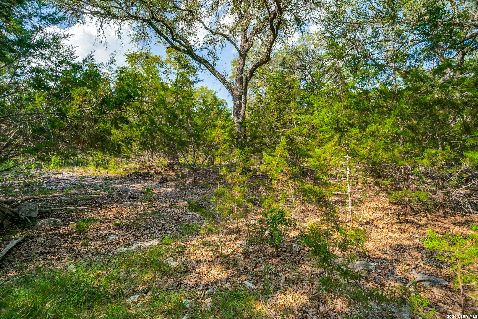 104C Riverwood Boerne TX 78006