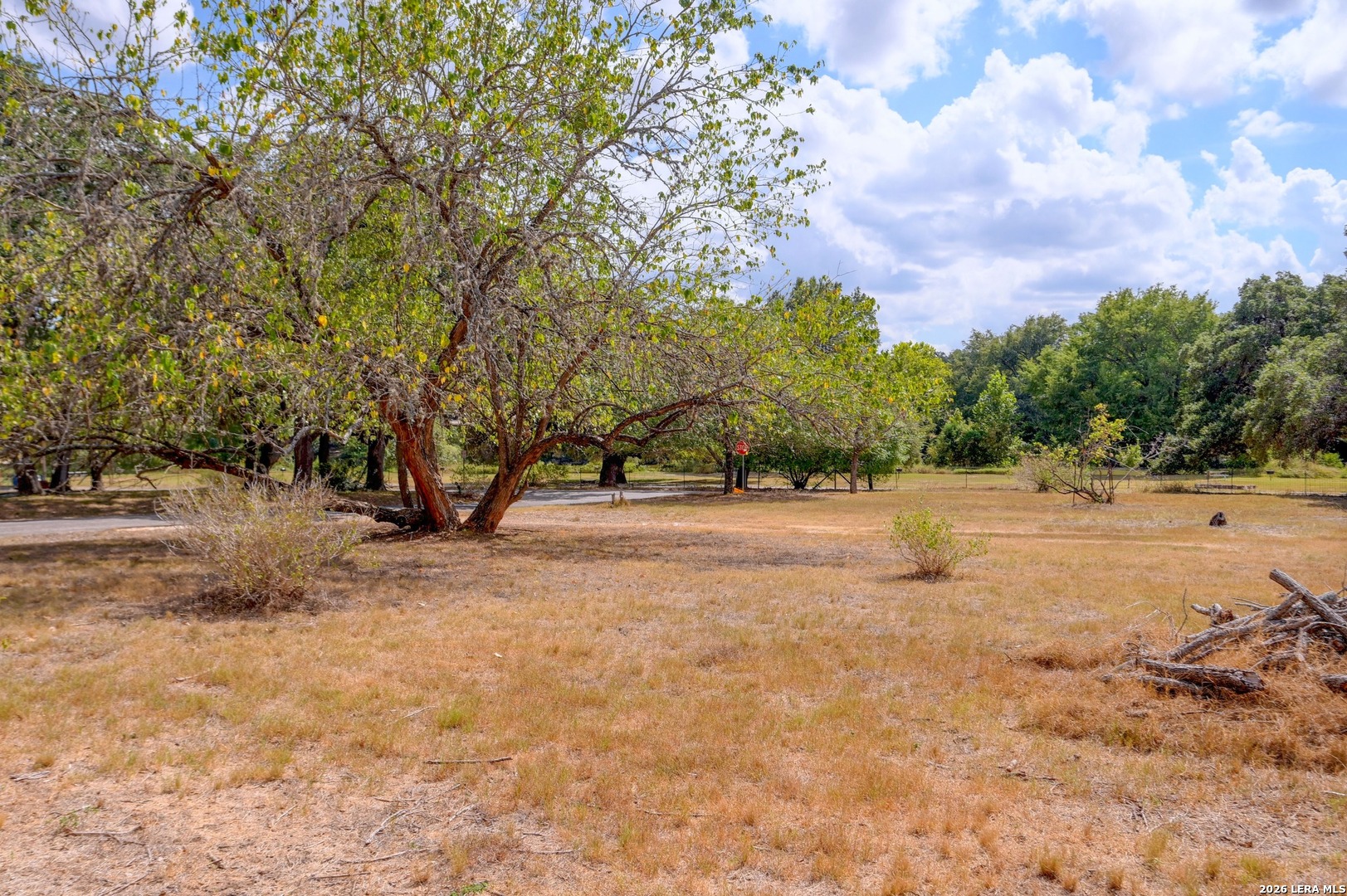 3 Elm Street Blanco TX 78606