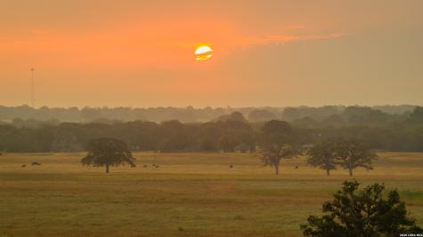Tbd 113 Acres County Road 423 Harwood TX 78959