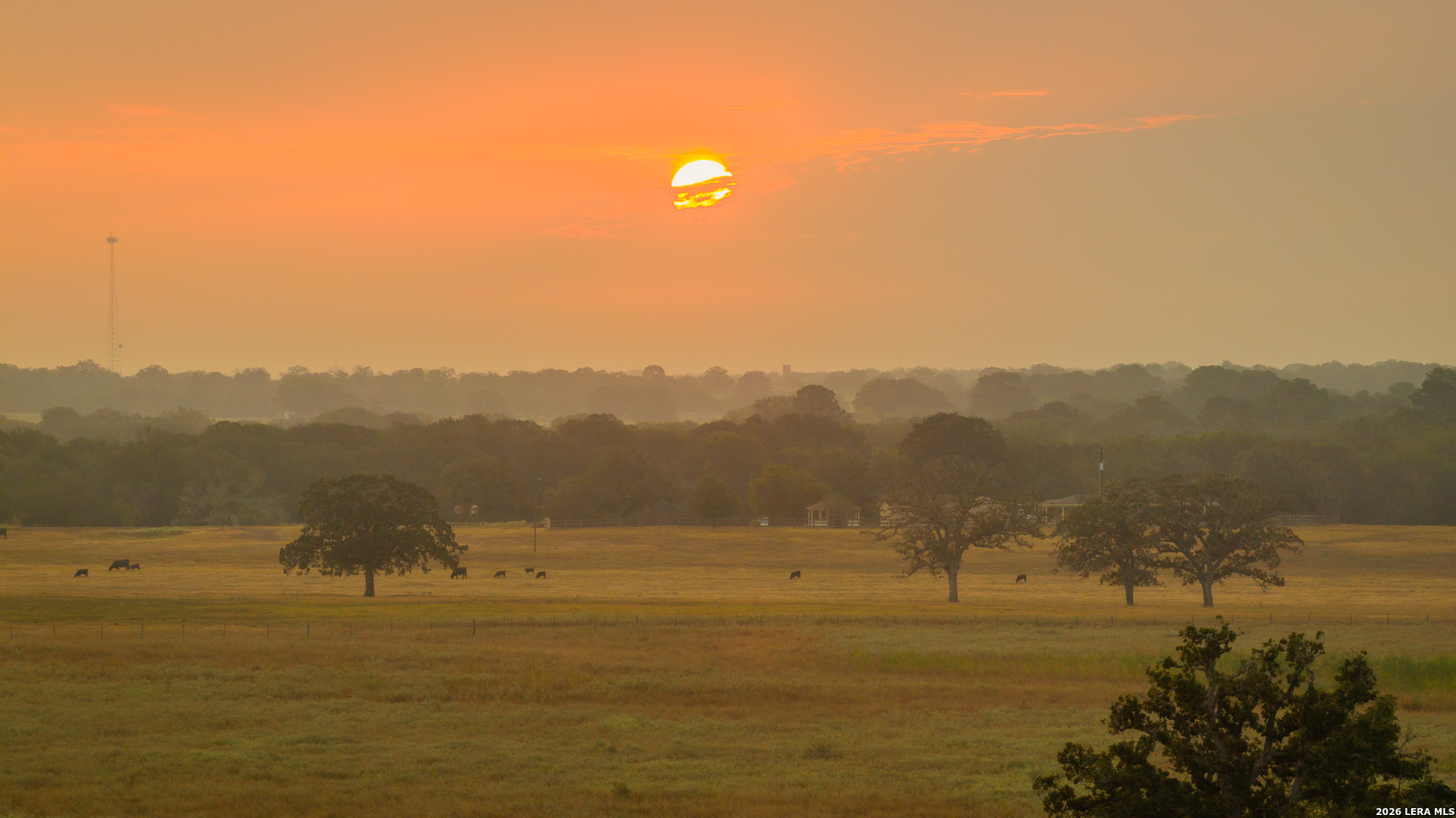 Tbd 113 Acres County Road 423 Harwood TX 78959
