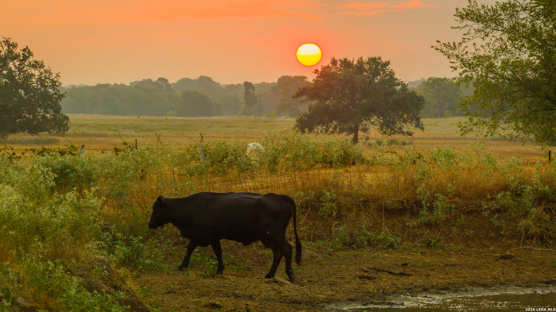 Tbd 113 Acres County Road 423 Harwood TX 78959