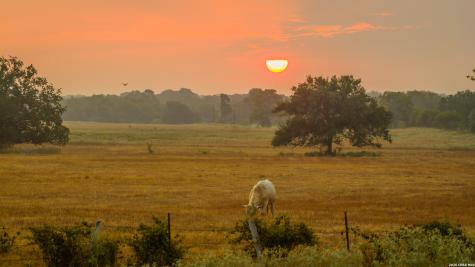 Tbd 113 Acres County Road 423 Harwood TX 78959