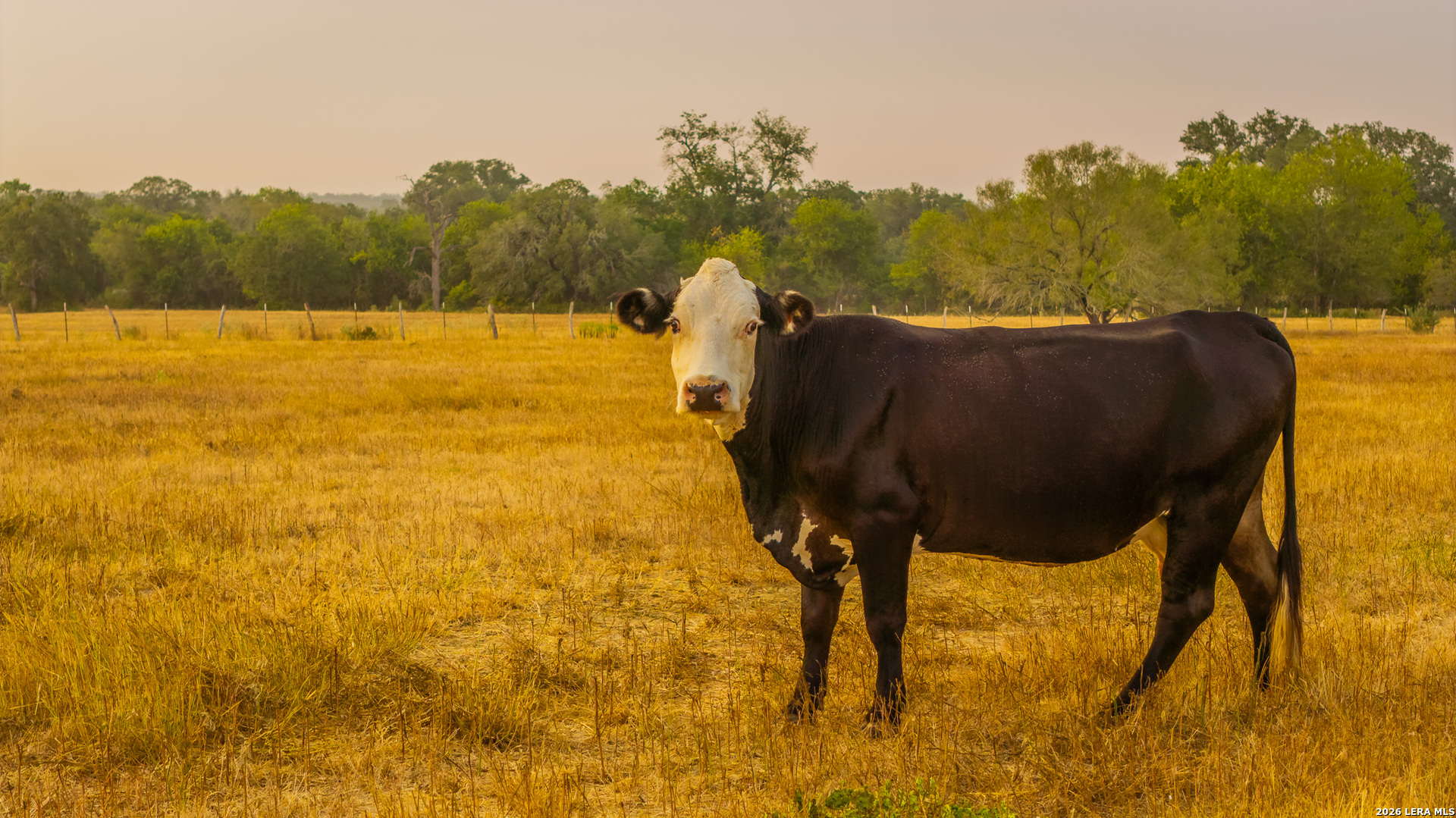 Tbd 113 Acres County Road 423 Harwood TX 78959
