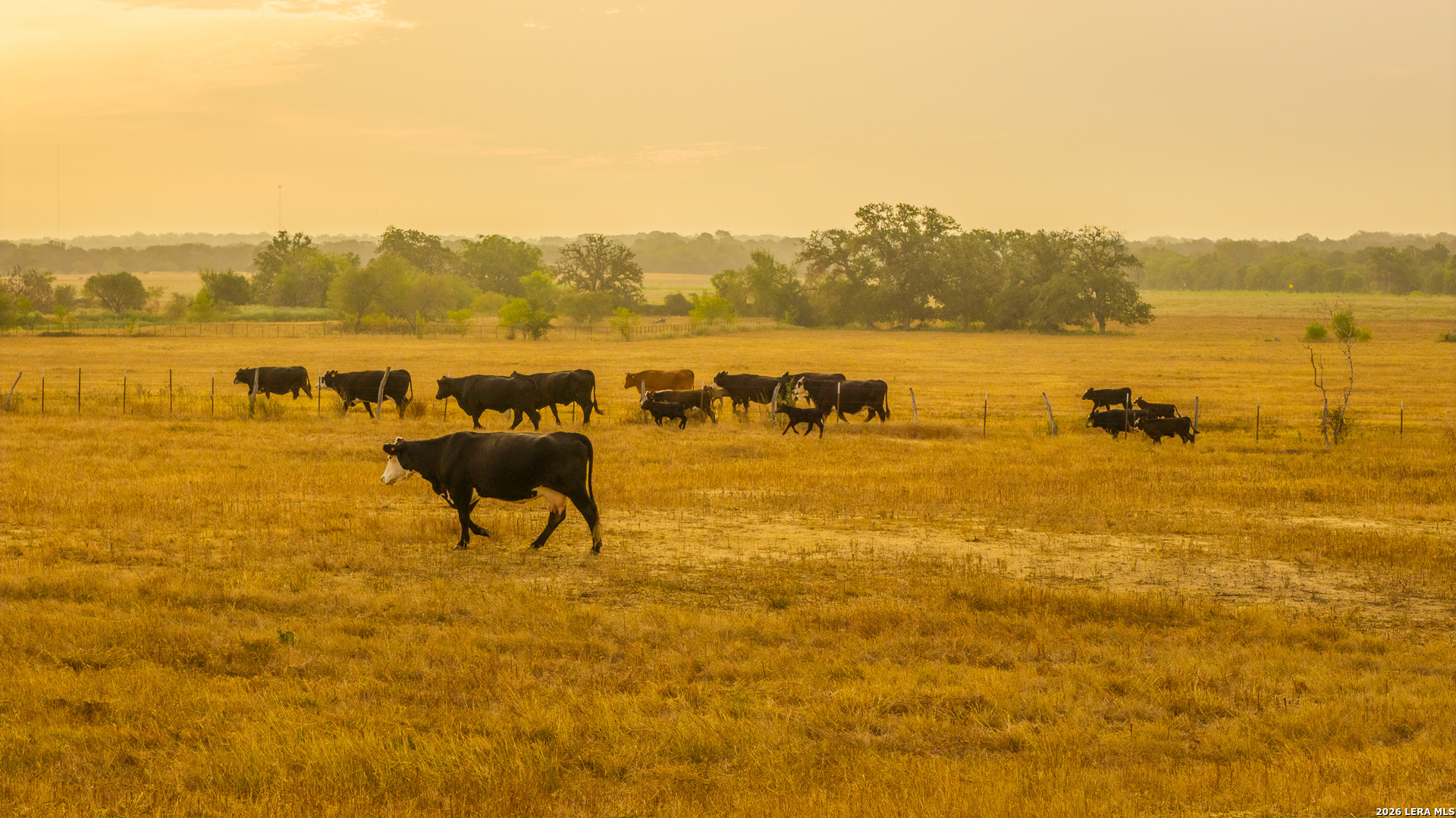 Tbd 113 Acres County Road 423 Harwood TX 78959