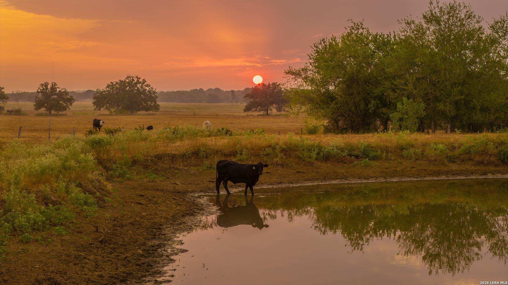 Tbd 113 Acres County Road 423 Harwood TX 78959