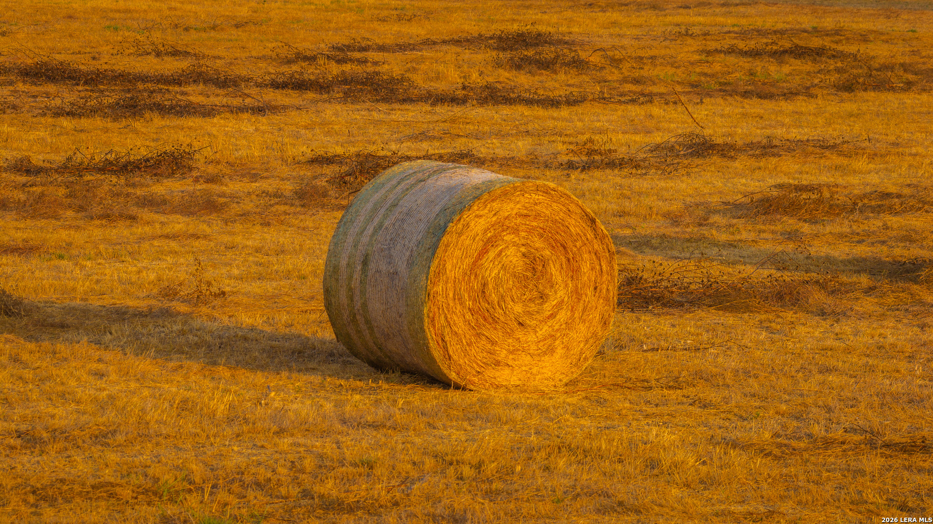 Tbd 113 Acres County Road 423 Harwood TX 78959