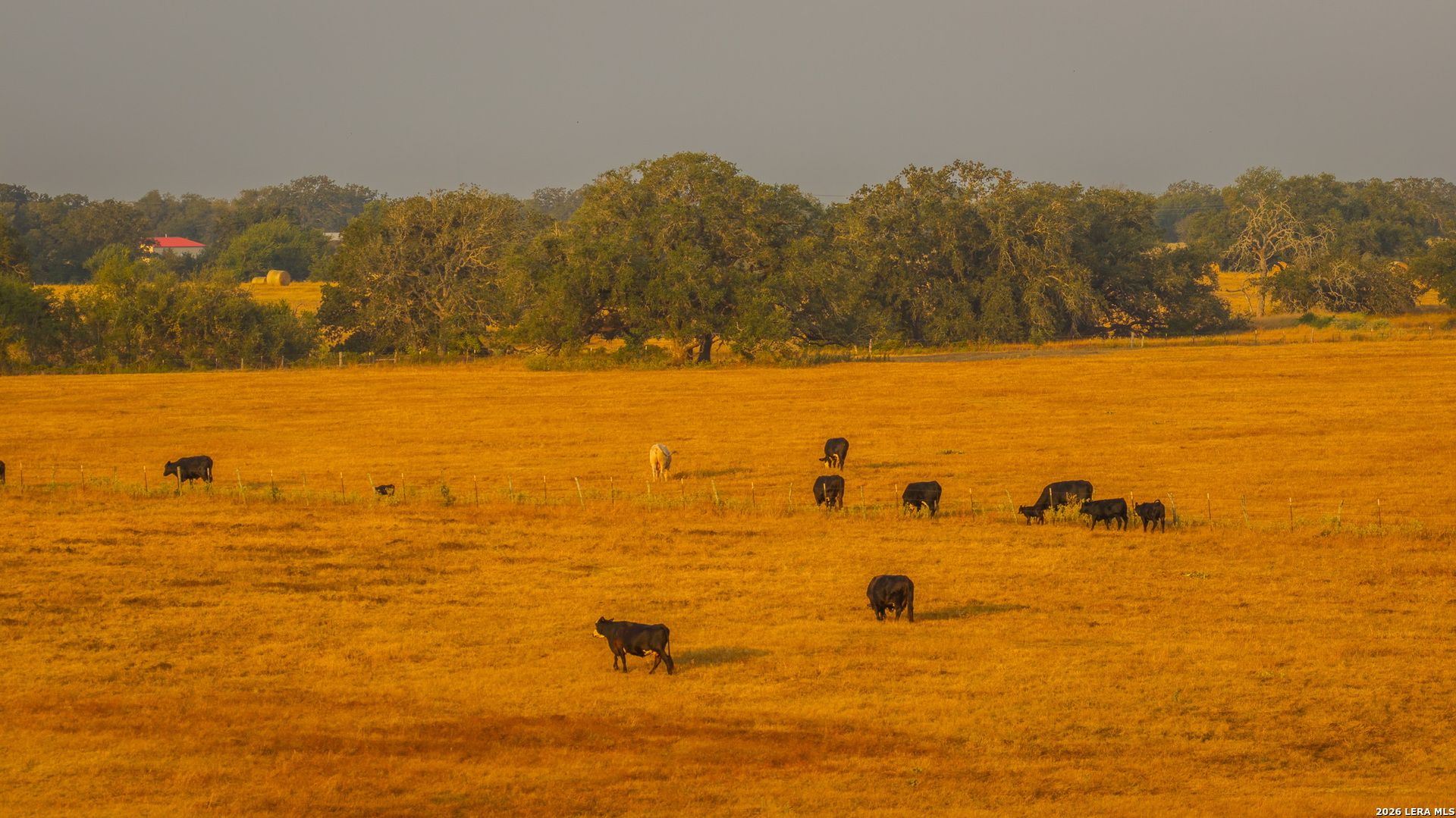 Tbd 113 Acres County Road 423 Harwood TX 78959