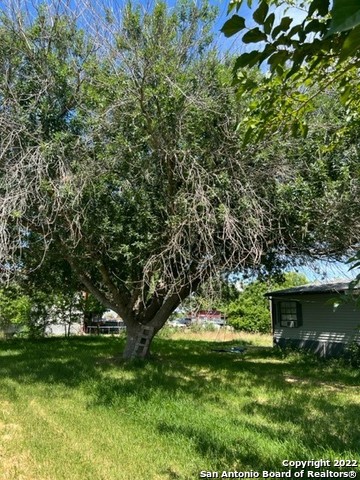 3900 Green Valley Road Cibolo TX 78108