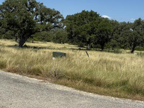 62 NW S Walcott Ridges Drive Harper TX 78631
