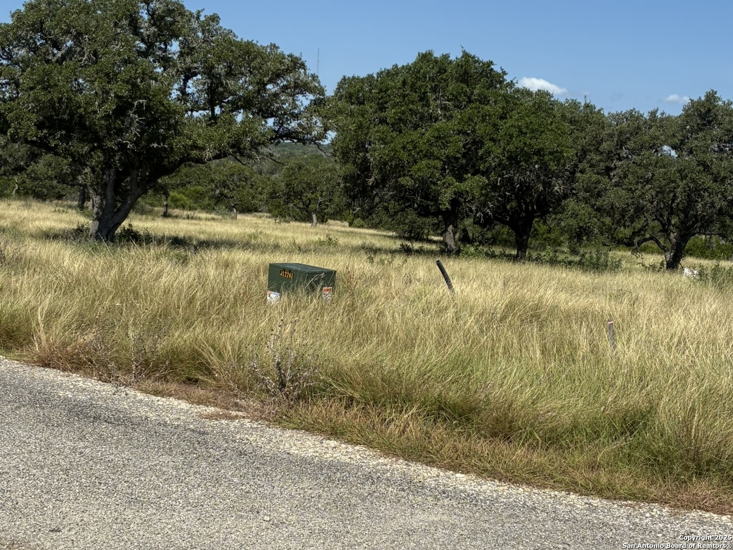 62 NW S Walcott Ridges Drive Harper TX 78631