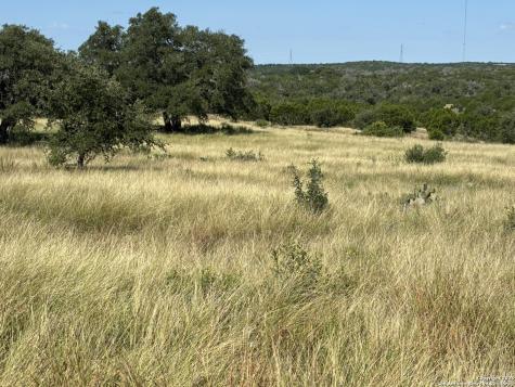 62 NW S Walcott Ridges Drive Harper TX 78631