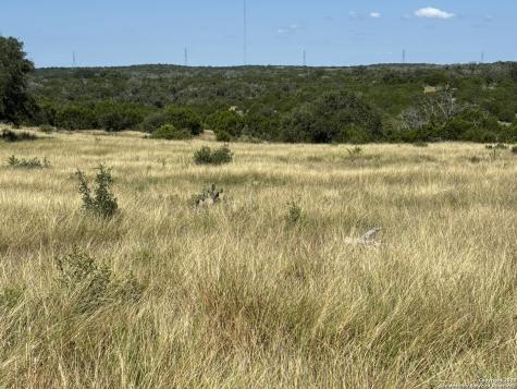 62 NW S Walcott Ridges Drive Harper TX 78631