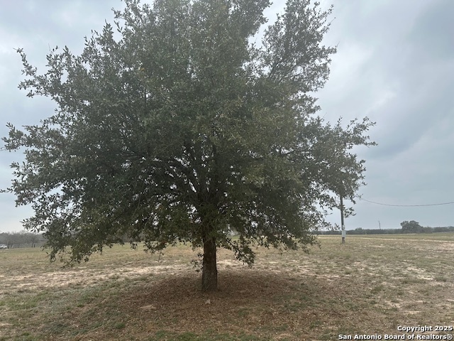 003 Stevens Road Von Ormy TX 78073