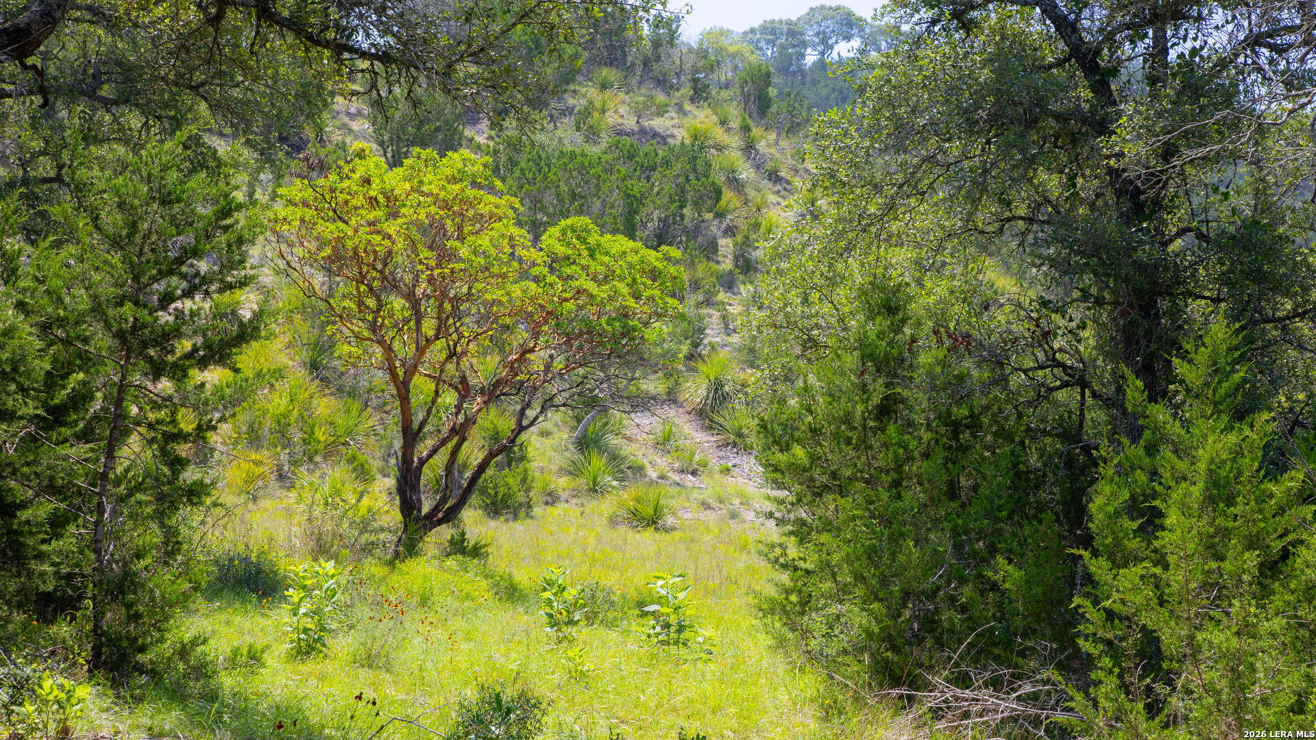 Lot 37 Blackbuck Trail Pipe Creek TX 78063