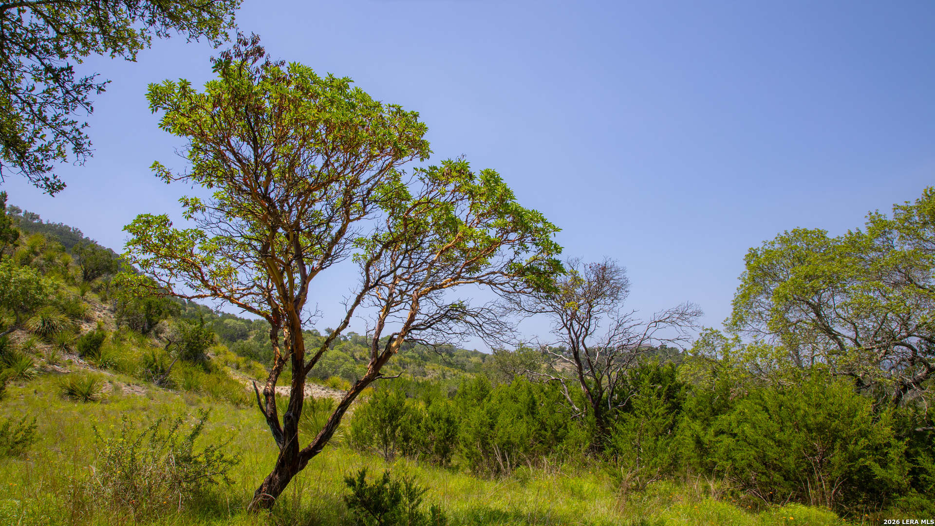 Lot 37 Blackbuck Trail Pipe Creek TX 78063