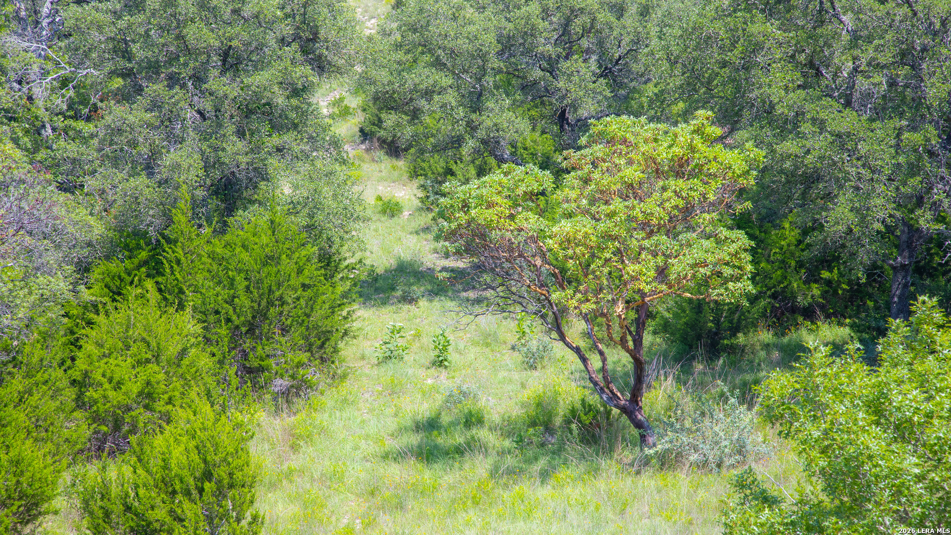 Lot 37 Blackbuck Trail Pipe Creek TX 78063