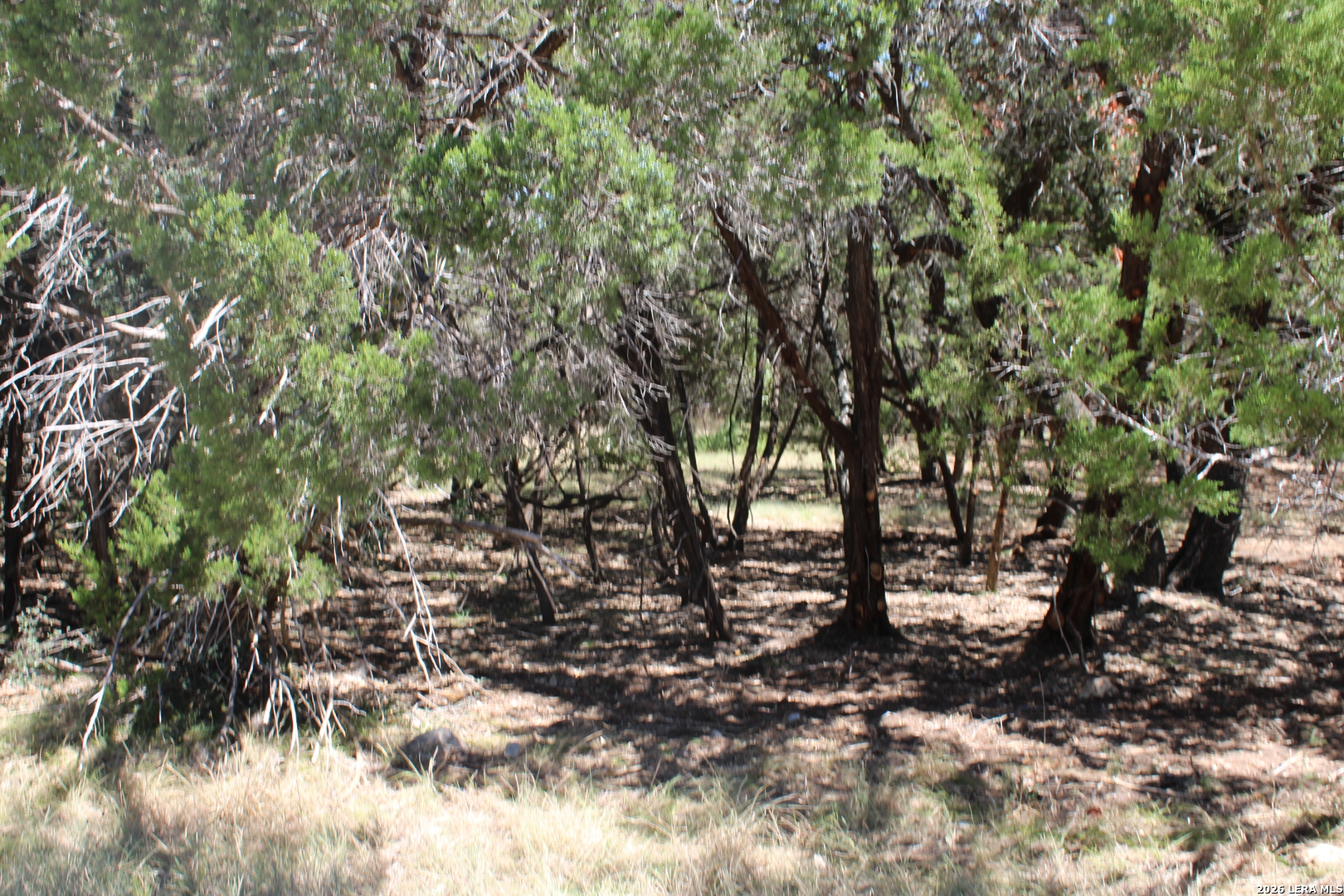 0 Colleen Canyon Lake TX 78133