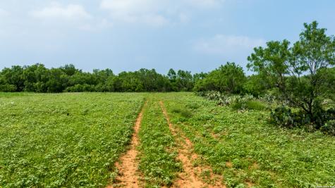 Tbd County Road 3000 Keystone Pearsall TX 78061