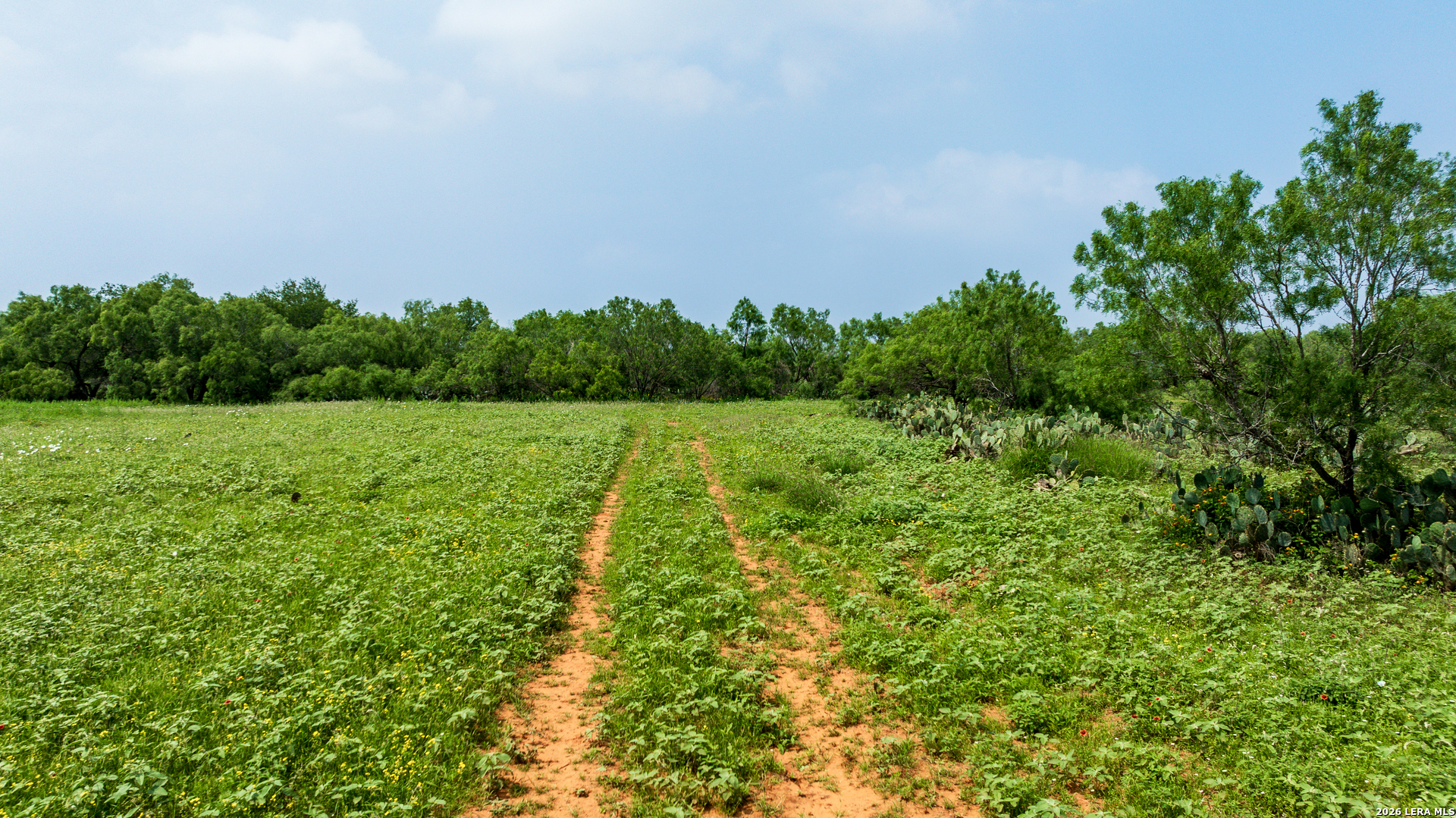 Tbd County Road 3000 Keystone Pearsall TX 78061