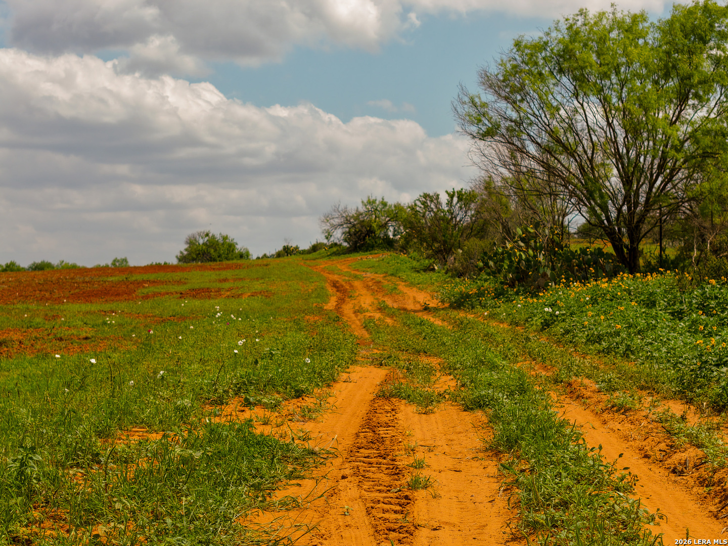 Tbd County Road 3000 Keystone Pearsall TX 78061