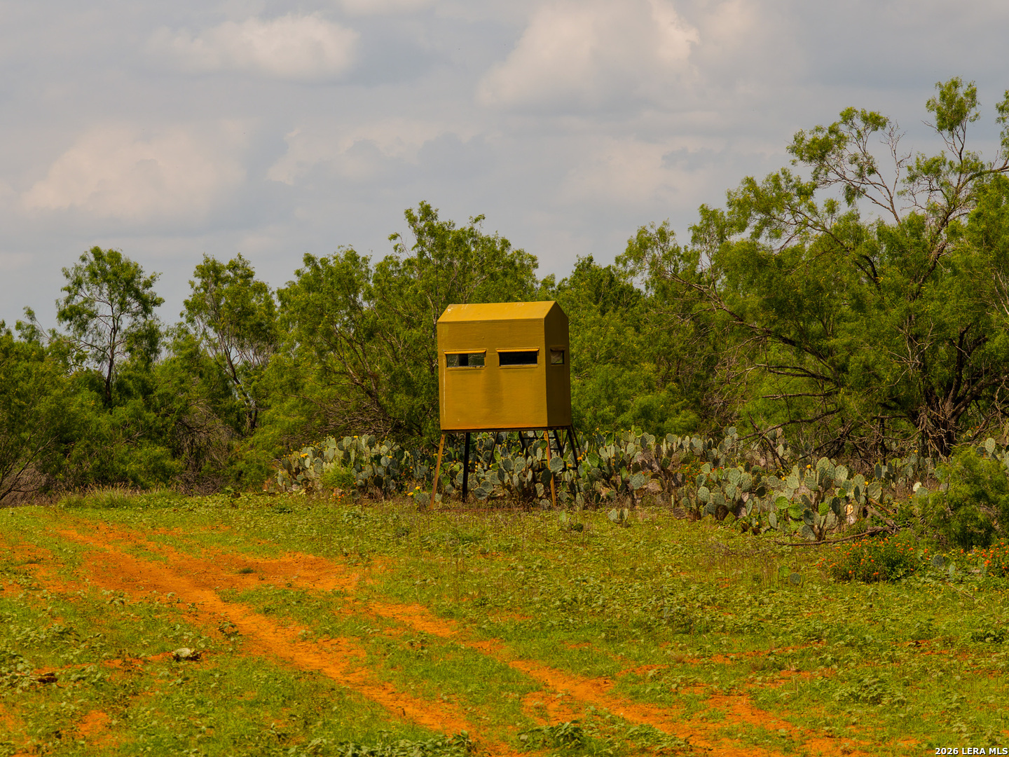 Tbd County Road 3000 Keystone Pearsall TX 78061