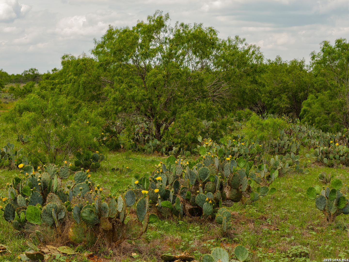 Tbd County Road 3000 Keystone Pearsall TX 78061