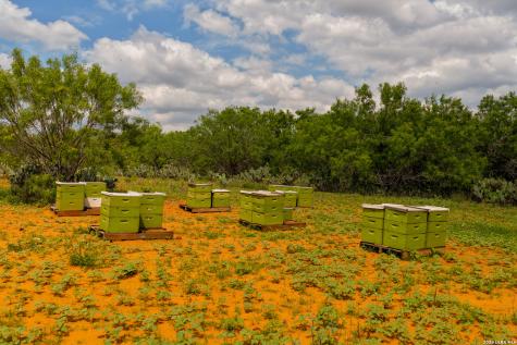Tbd County Road 3000 Keystone Pearsall TX 78061