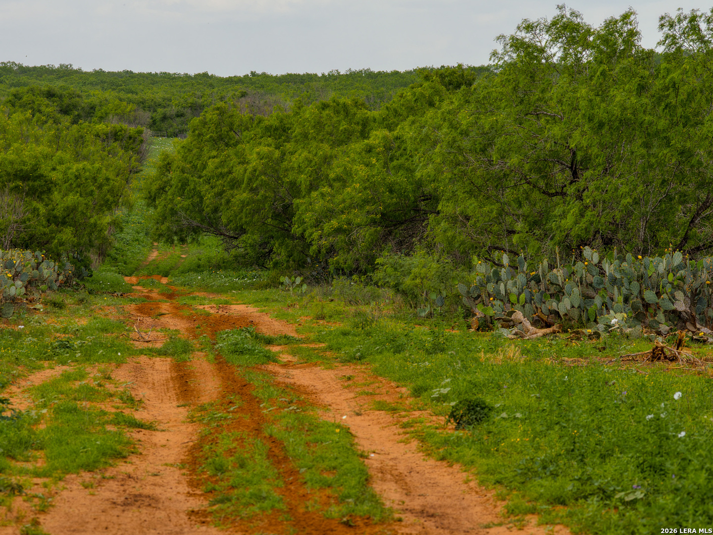 Tbd County Road 3000 Keystone Pearsall TX 78061