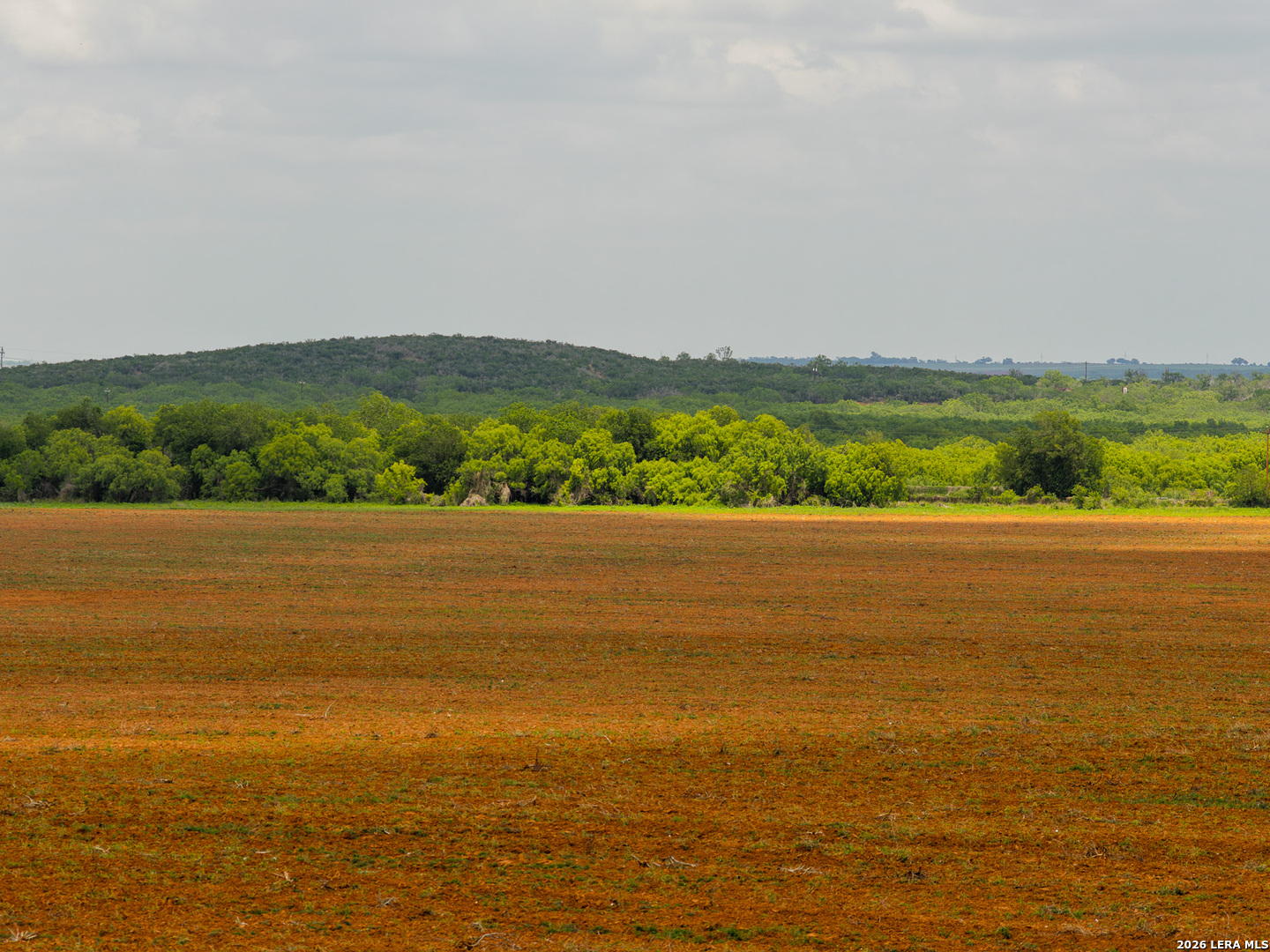 Tbd County Road 3000 Keystone Pearsall TX 78061