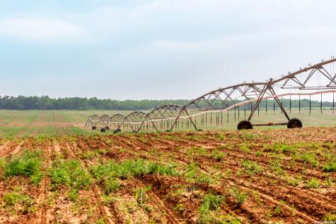 Tbd County Road 3000 Keystone Pearsall TX 78061
